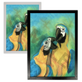Parrots Print