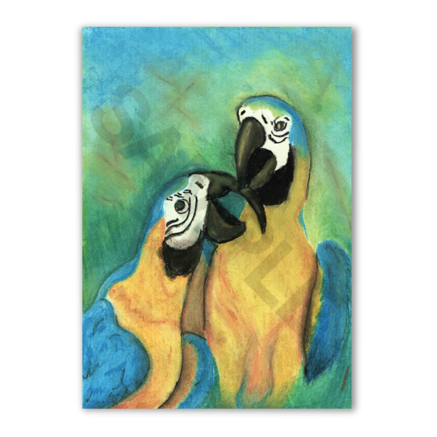 Parrots Print